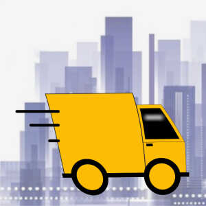 Service, Versand-Optionen