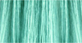 Wild color, Direct Color, Mint
