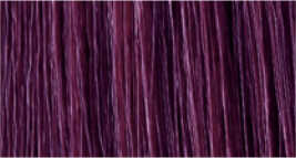 Wild Color, Violett, 4.2